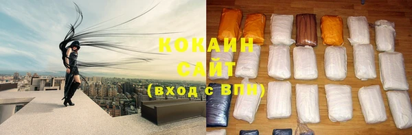 ECSTASY Алзамай