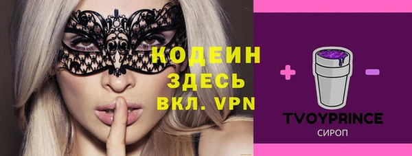 ECSTASY Алзамай