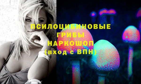 ECSTASY Алзамай