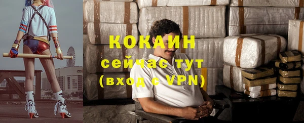 тгк Алексин